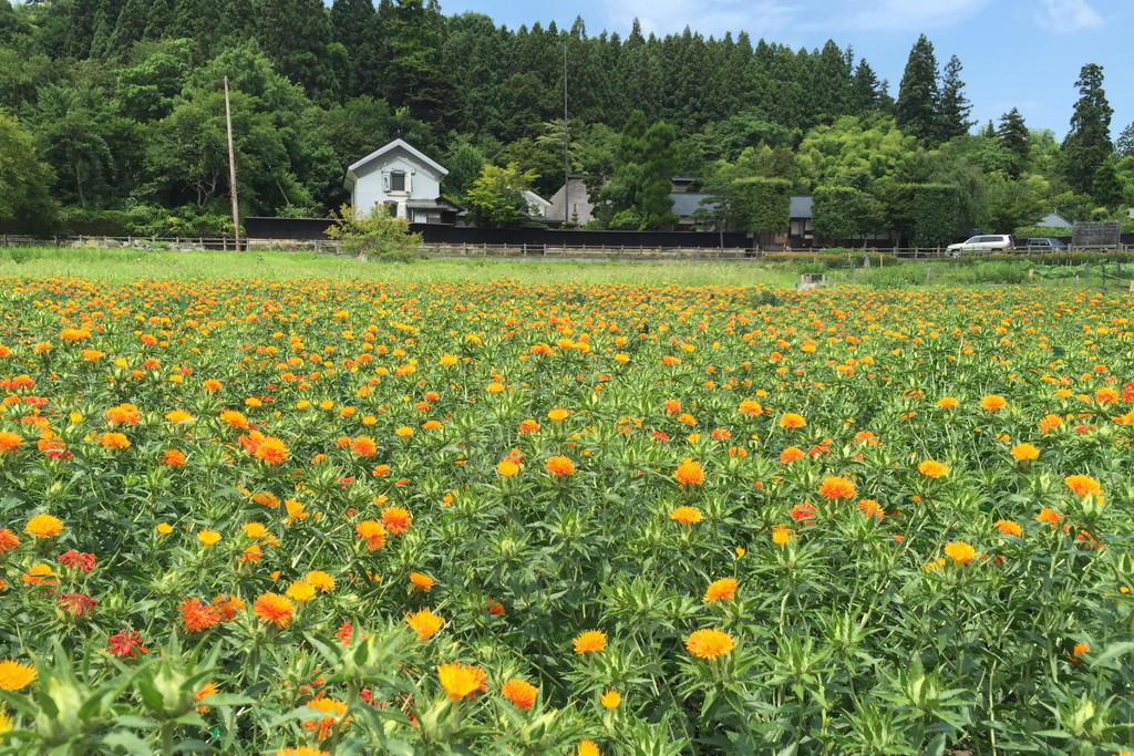 旧柏倉家住宅