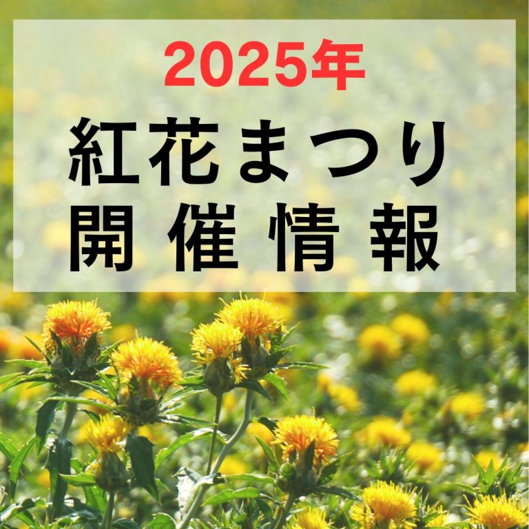 2025年 紅花まつり情報